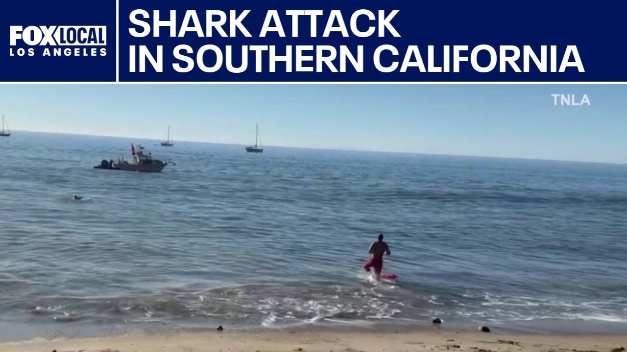 Shark bites Kayaker twice in Malibu