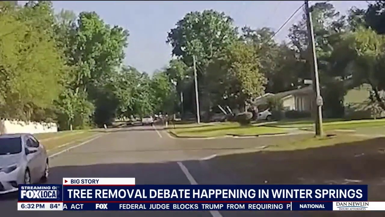Winter Springs defends tree removal spending after video shows tree crushing car