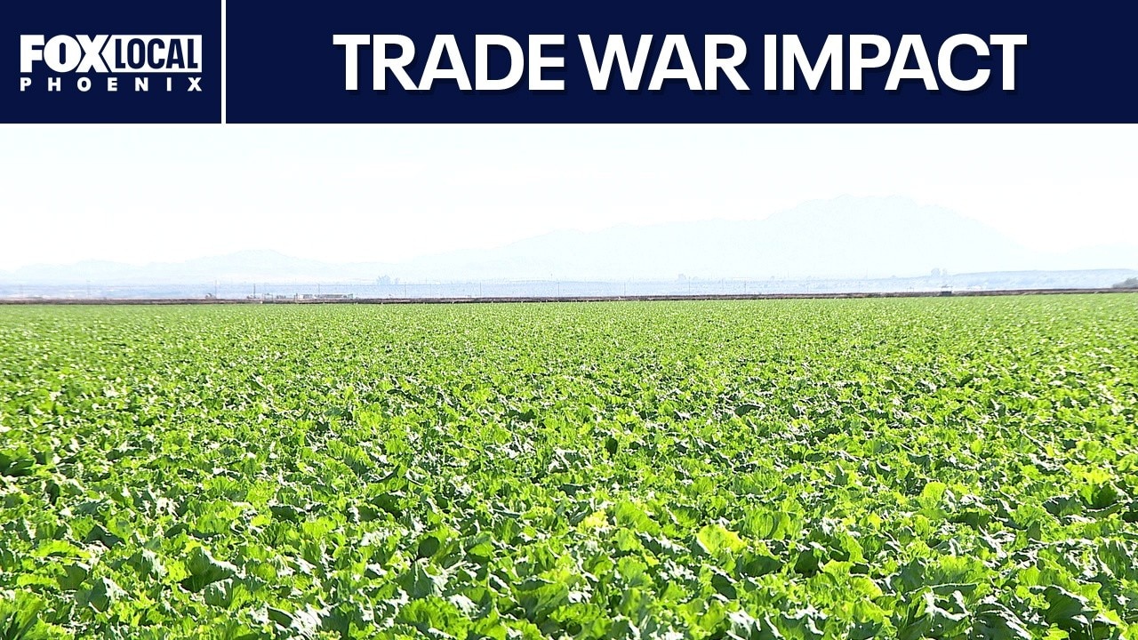 Yuma farmers brace for Canada tariff impacts