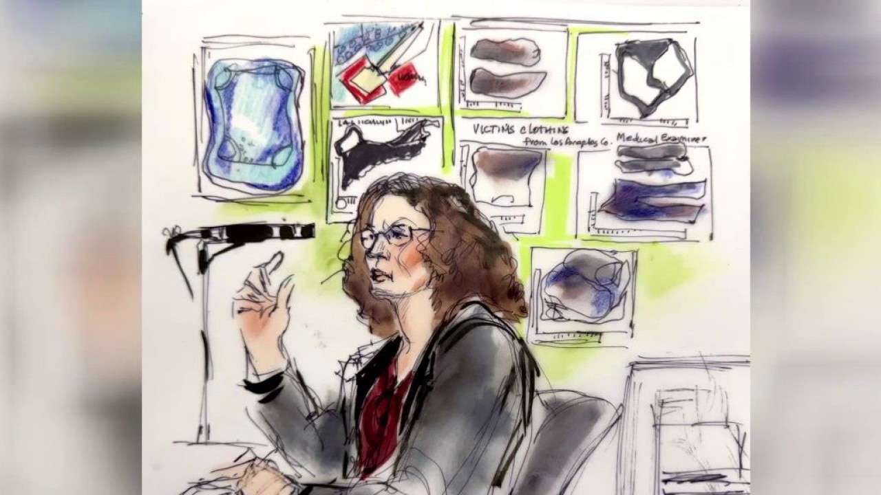 D4vd hearing: Clothing evidence, cellphone maps revealed