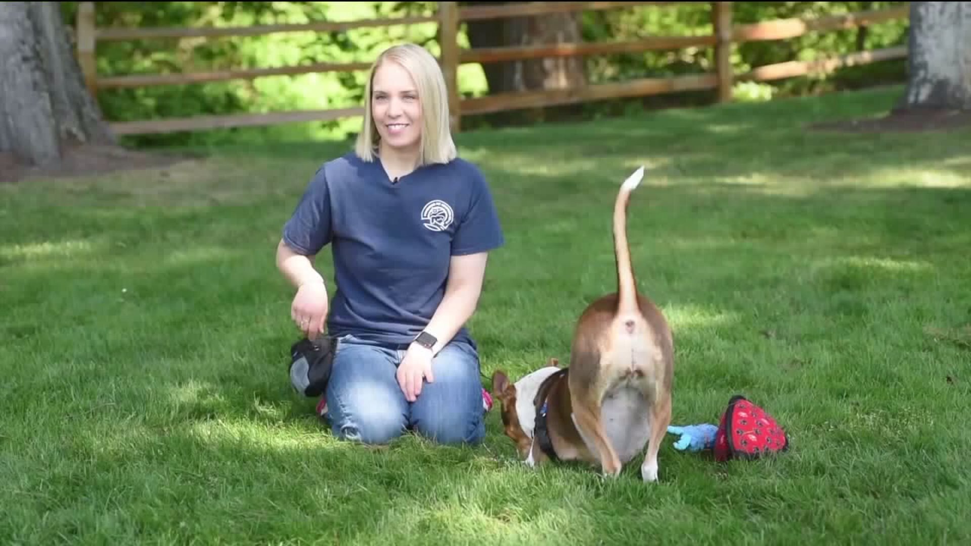 Meet Skye! #whynotmepets