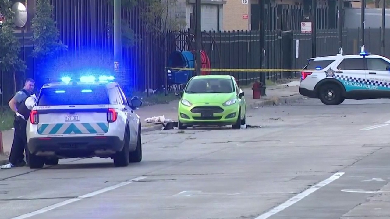 Chicago police activity reported near Dan Ryan