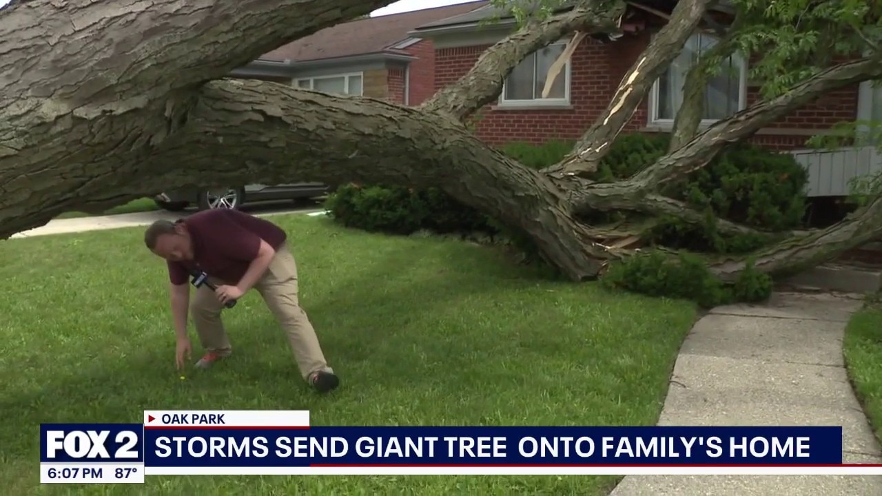 Tree splits Oak Park house in half, leaves mother and 5 children homeless