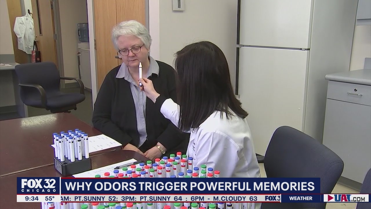 New study explores why odors can trigger powerful memories