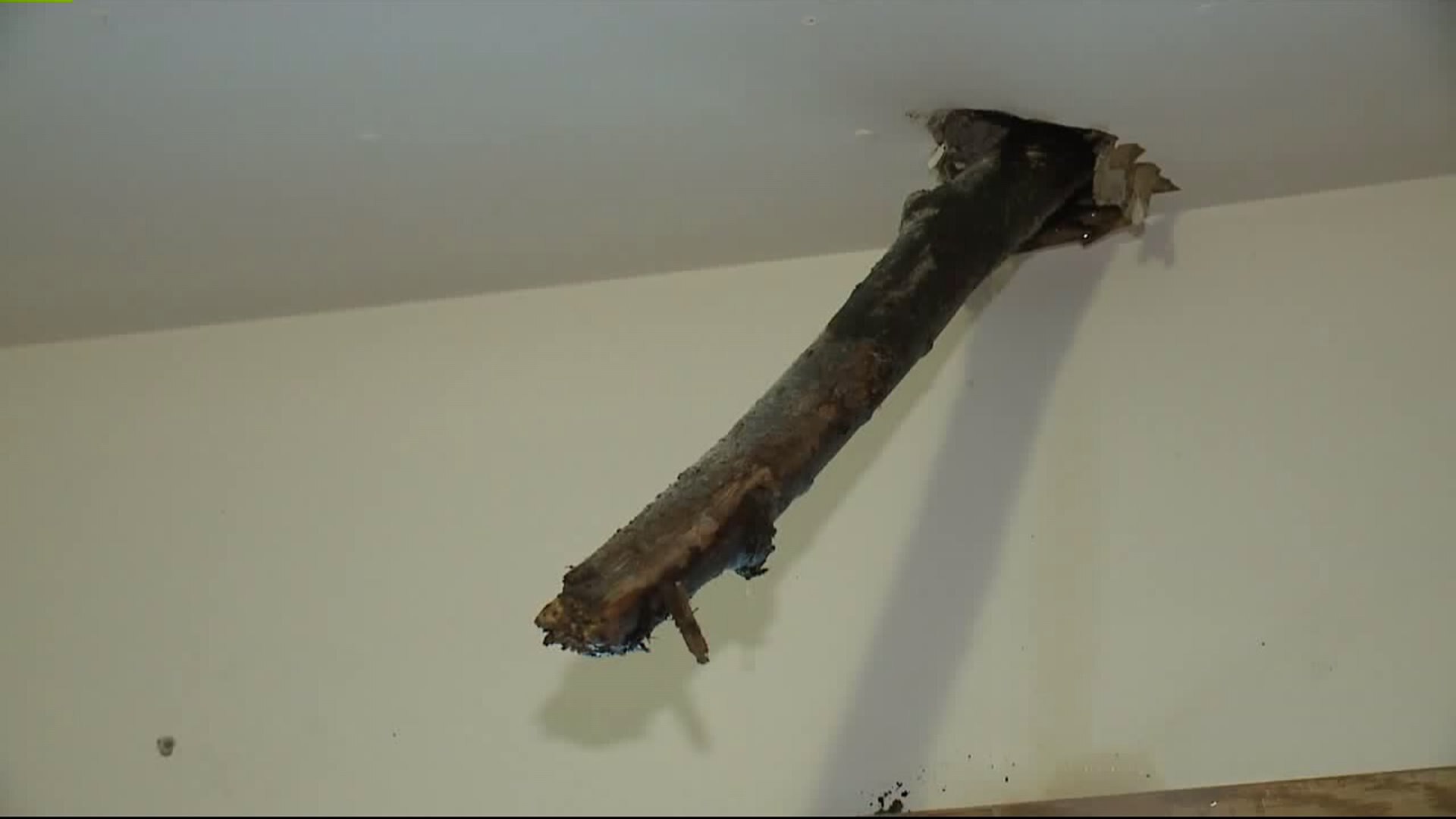Fallen tree causes damage at West Allis rental unit