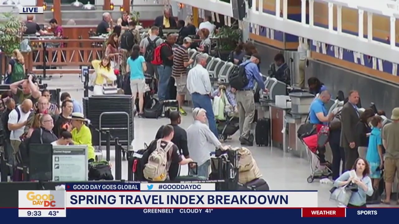 Spring travel index breakdown