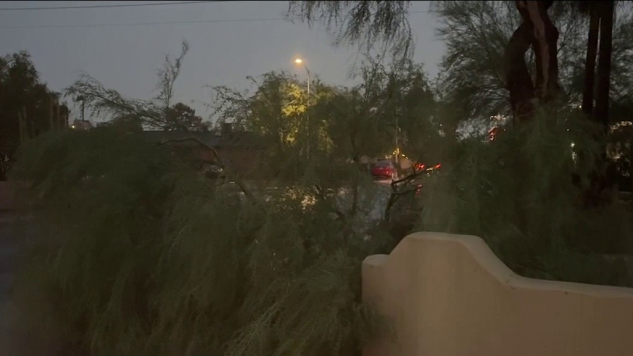Heavy rain, dust storm down trees across Phoenix area