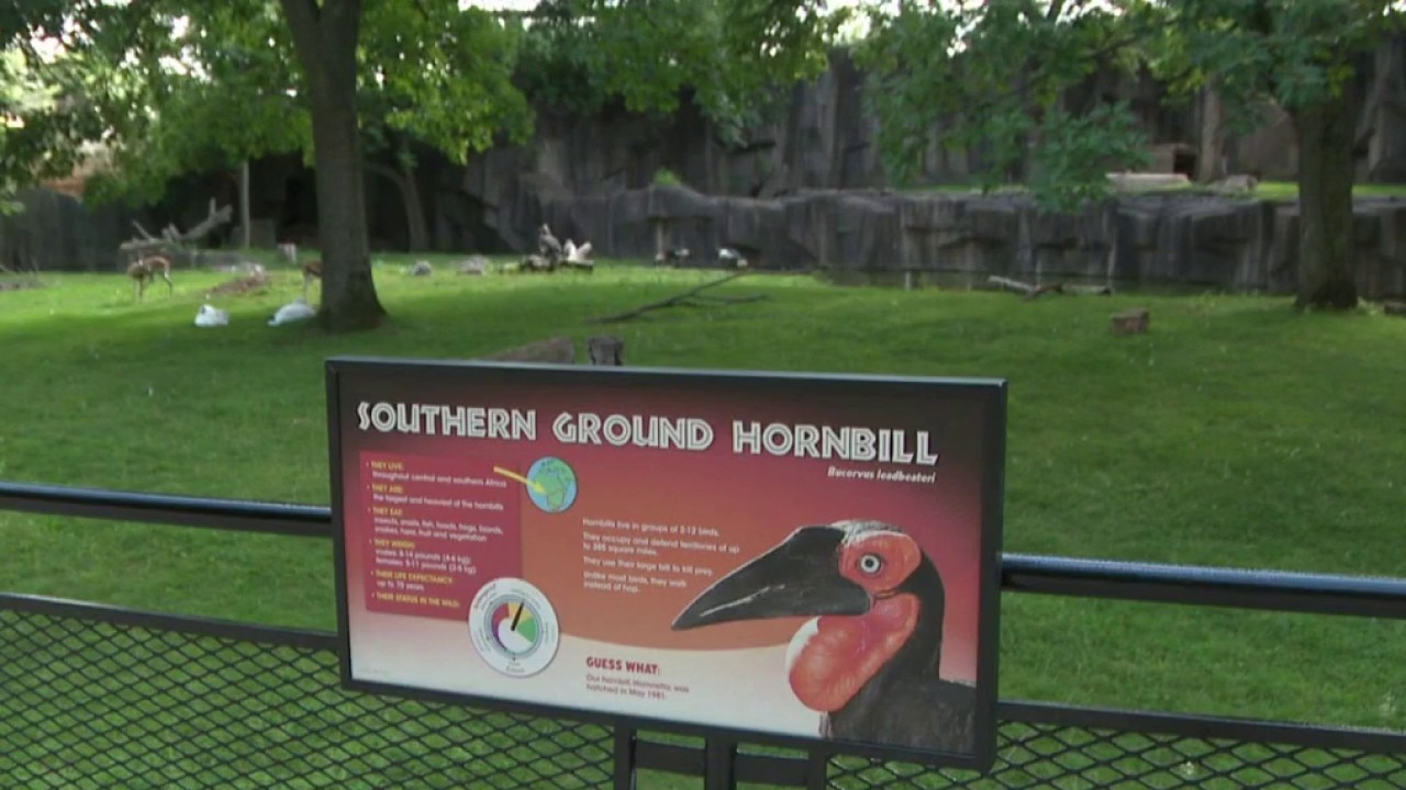 Boy enters Milwaukee County Zoo exhibit, caught on video