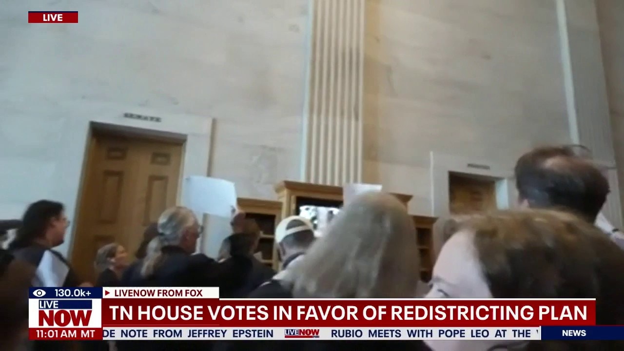 TN House votes in favor of redistricting Memphis