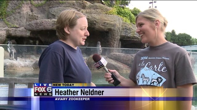 Laura learns about food, entertainment you can enjoy at zoo A La Carte