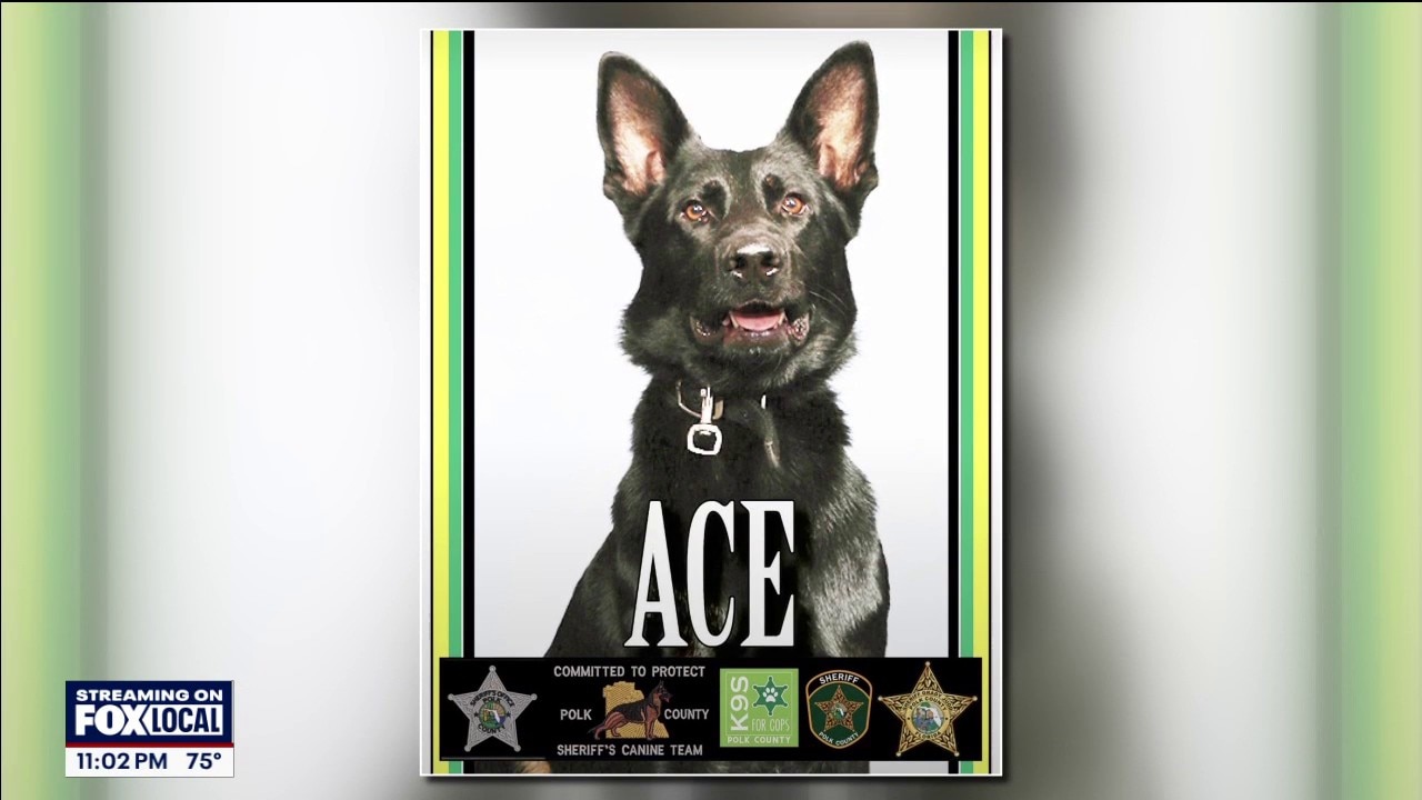 K9 shot, suspect killed in Polk County