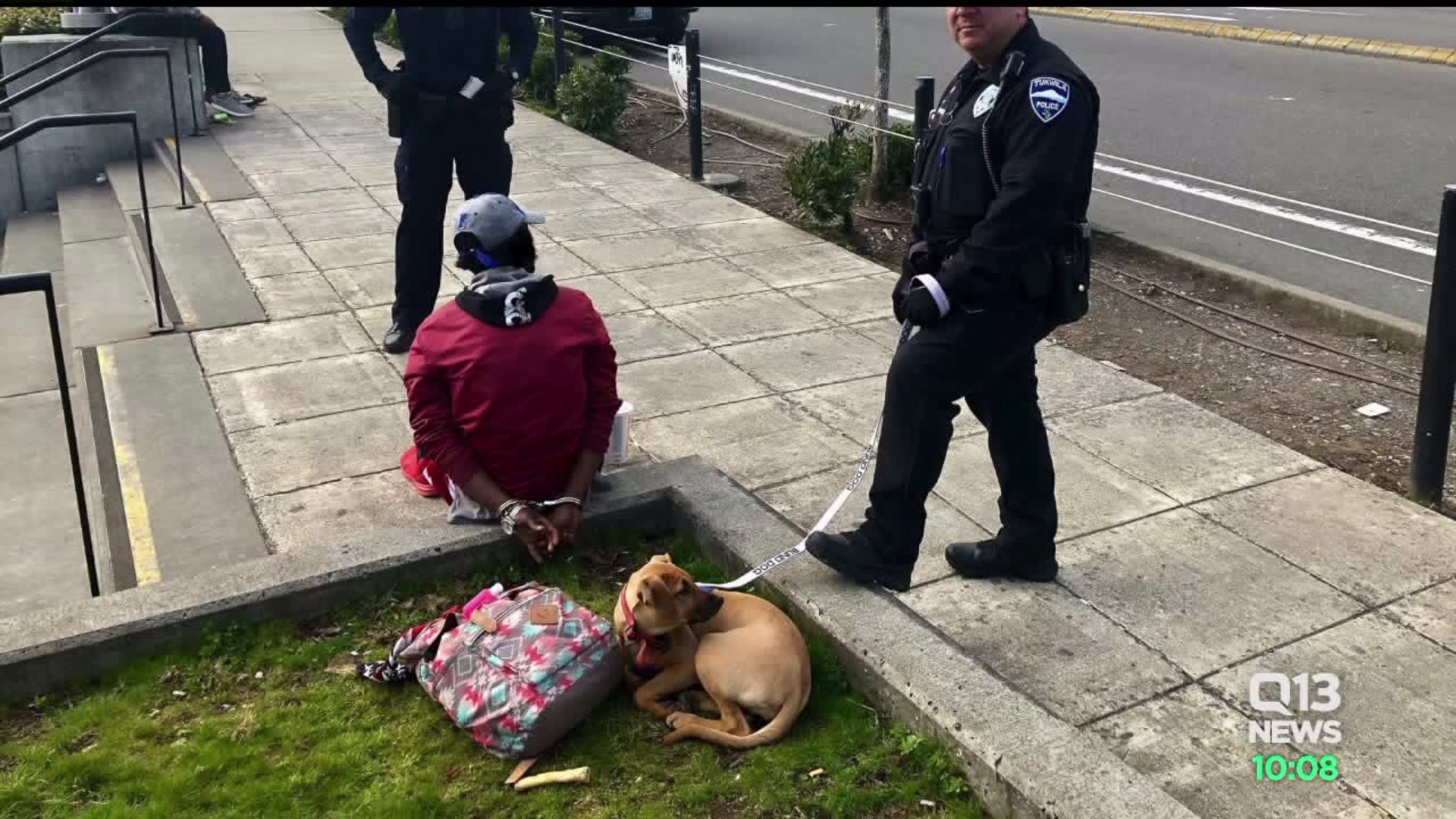 Stolen dog reunited with owner