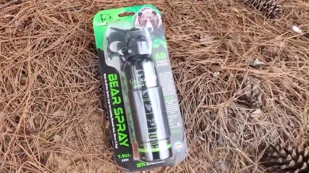 Cobb County hotel pool bear spray attack