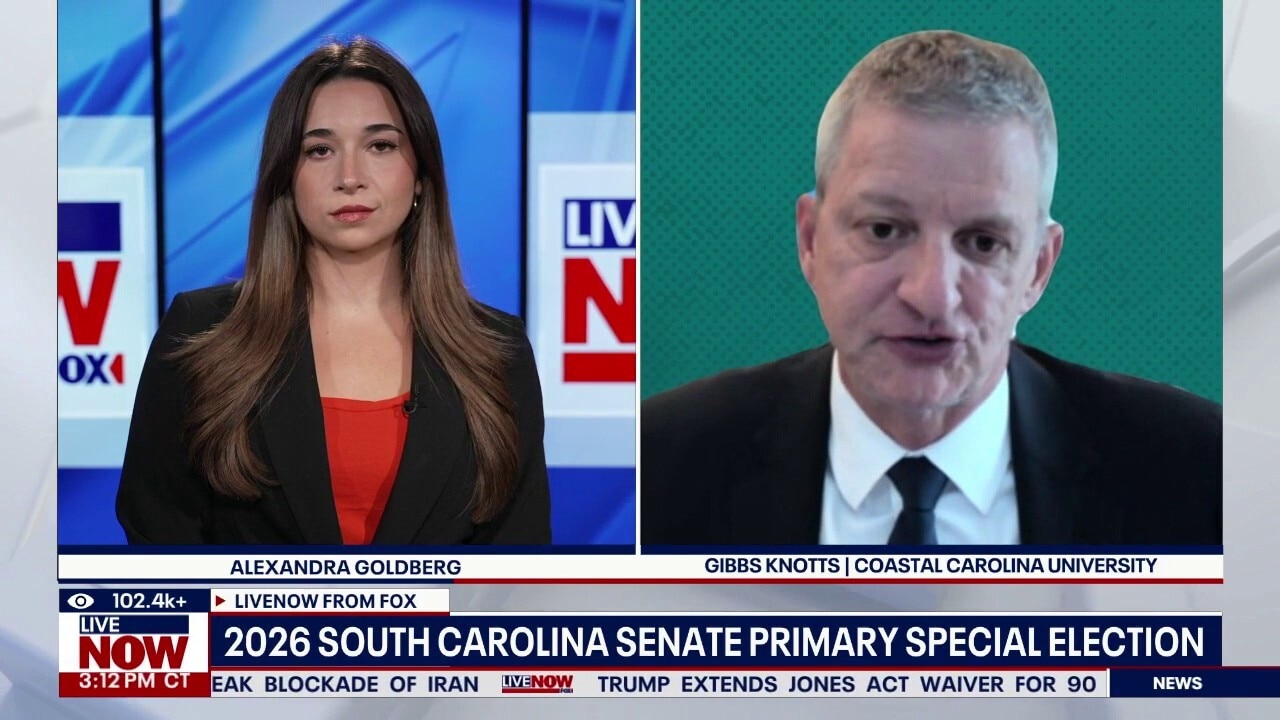South Carolina to vote on Lindsey Graham's successor