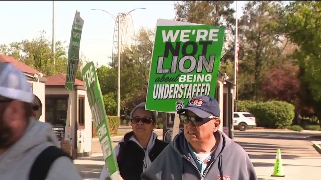 Strike at Brookfield Zoo Chicago begins