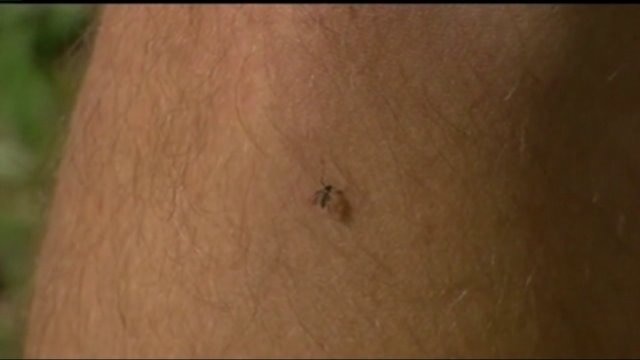 Health Department: Mosquitoes test positive for West Nile Virus in Milwaukee