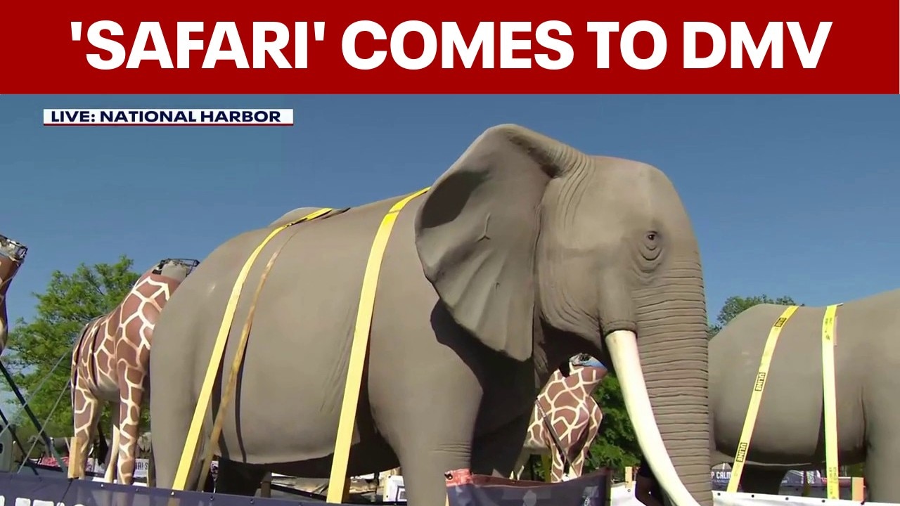 National Harbor hosts 'herd' of safari animal statues