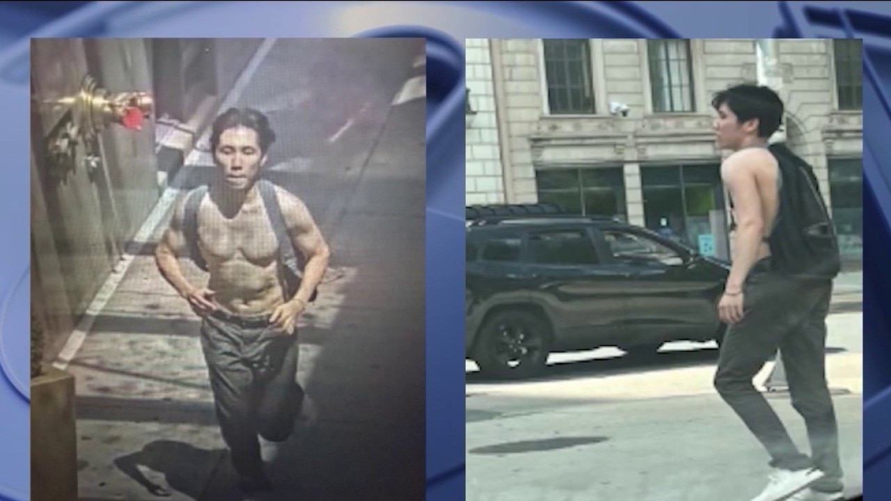 Man accused of burning cross in Chicago's Grant Park released from custody