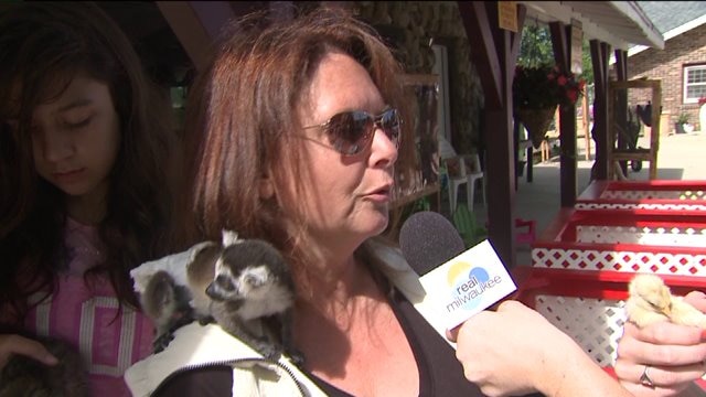 Meet and greet these adorable animals, but when?