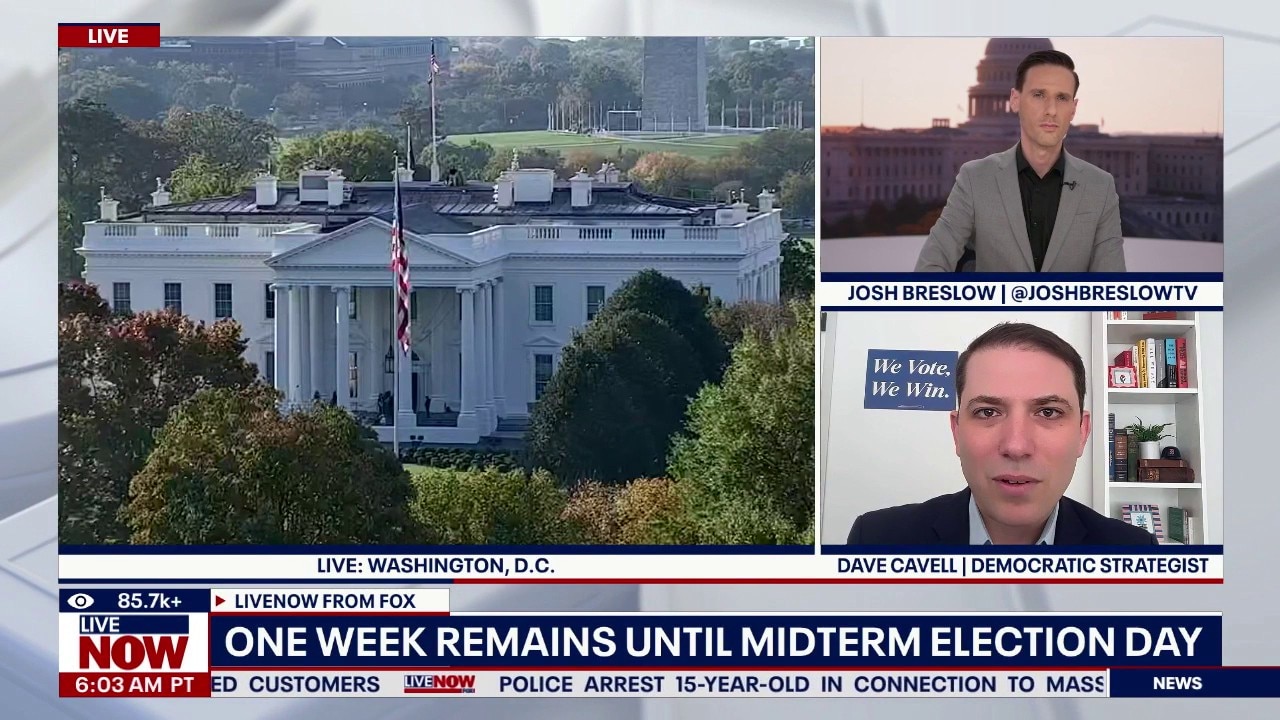Midterm elections: Democrat strategist analyzes races