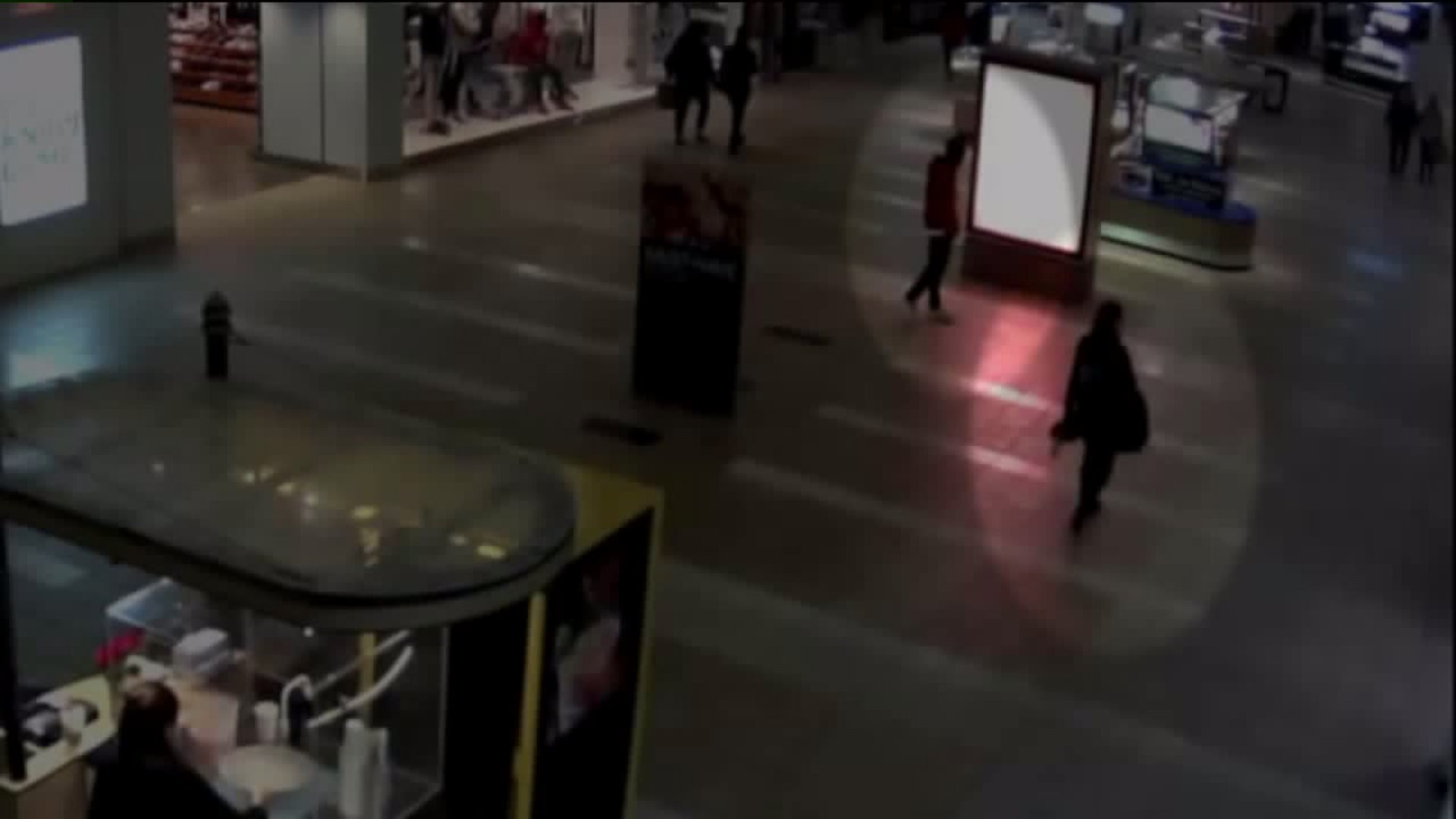 Purse snatching at Northgate Mall | FOX 13 Seattle