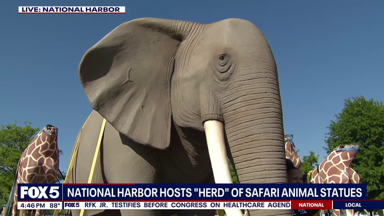 Traveling safari of life-size animals arrives at National Harbor