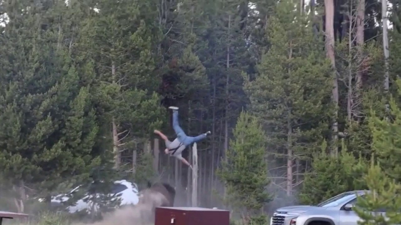 Man attacked by bison at Yellowstone National Park speaks out