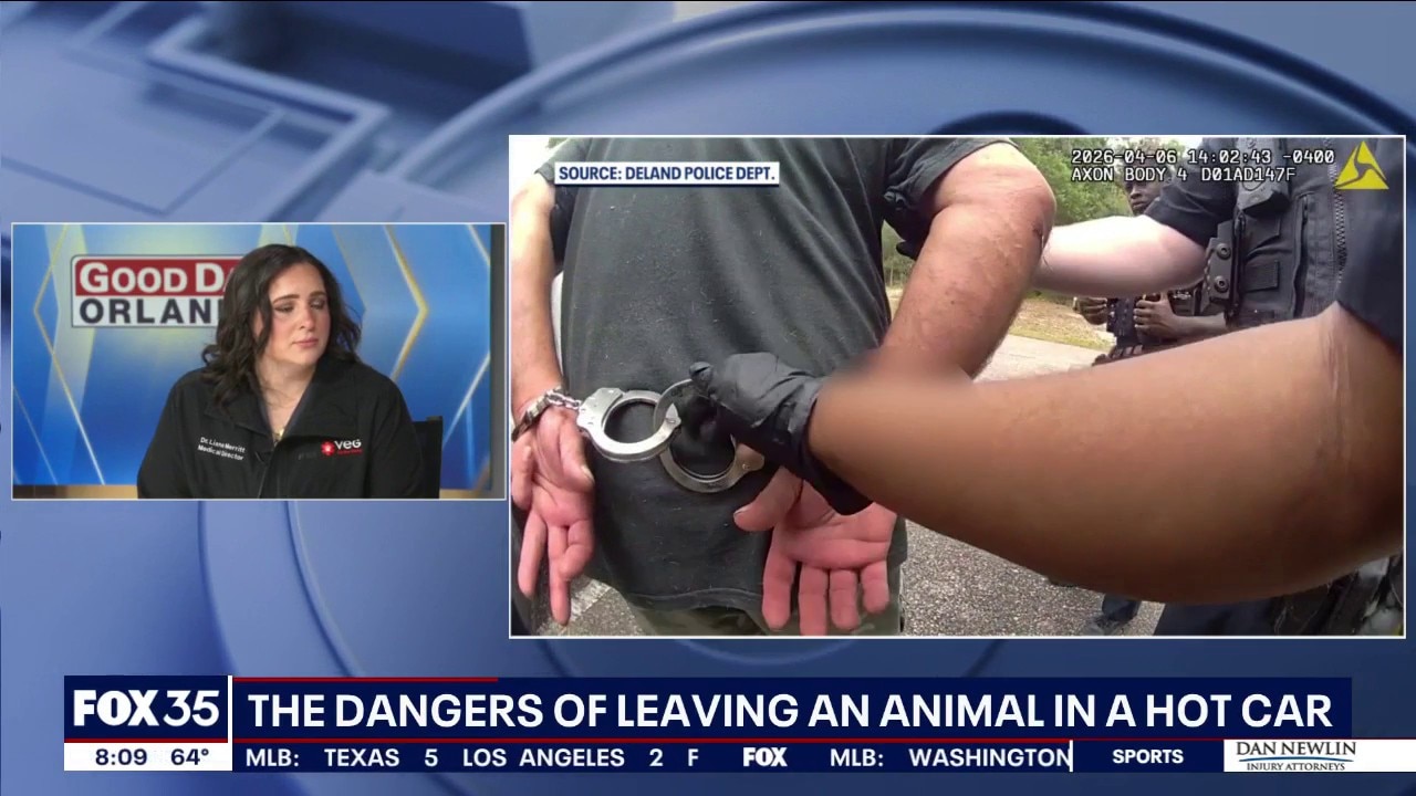 Dangers of leaving an animal in a hot car