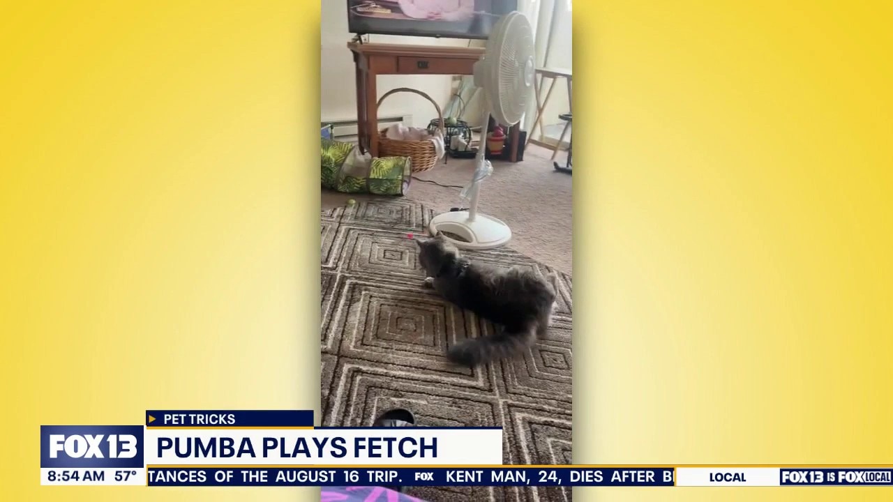 Good Day Pet Tricks for Tuesday, Sept. 29