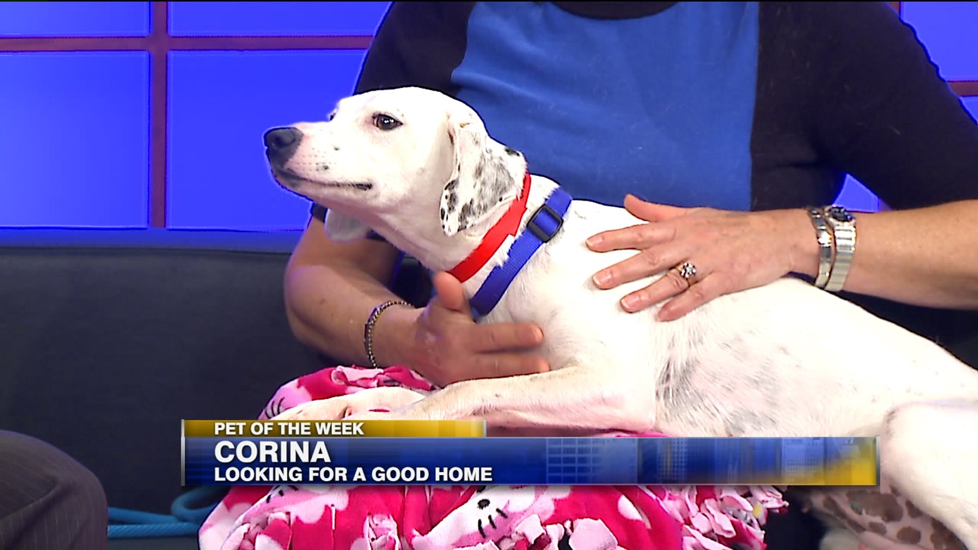Meet Corina