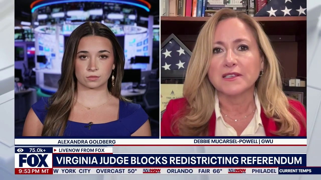 Virginia judge blocks redistricting referendum