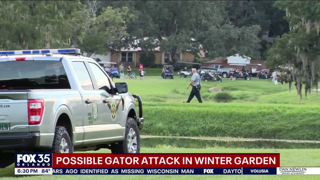 Man possibly attacked by alligator in Winter Garden