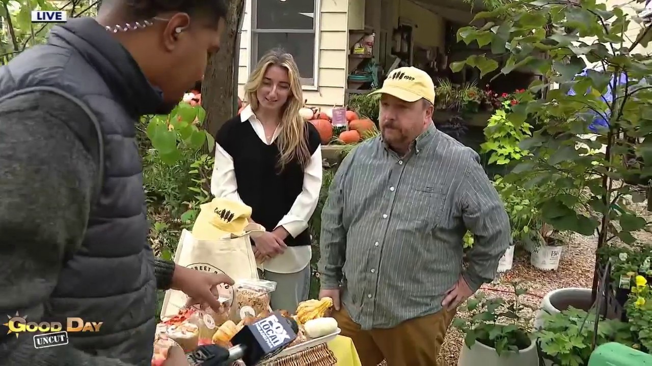 Good Day Uncut: Chestnut Hill Fall For The Arts