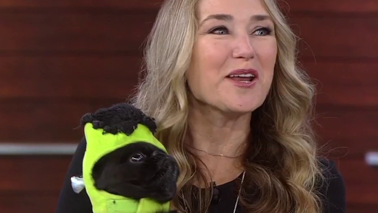 Keeping pets safe this Halloween