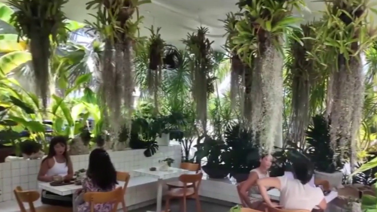 Plant the Future in Miami