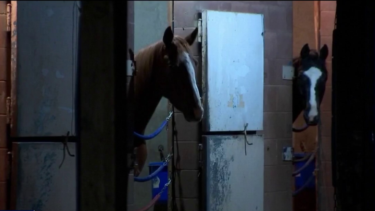 Alameda County Fair more profitable without horse racing