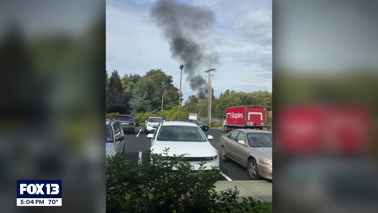 What caused the deadly plane crash at Paine Field?