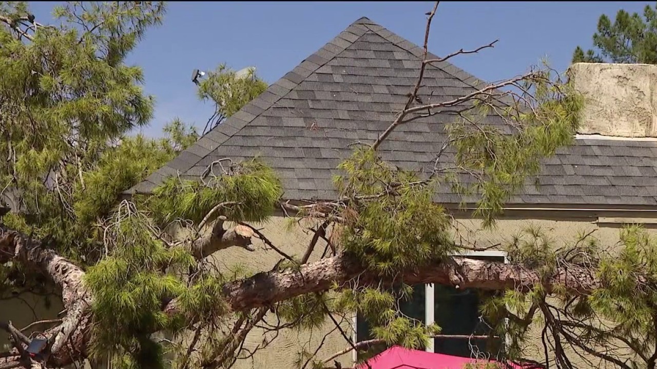Tree collapses on Phoenix home with children inside during monsoon