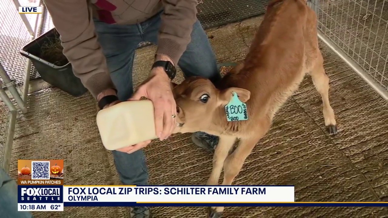 FOX Local Pumpkin Patch Zip Trips: Schilter Family Farm