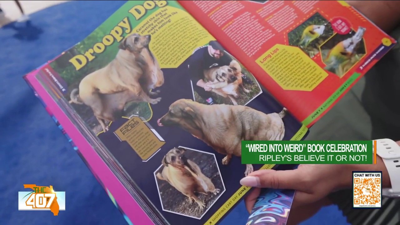 Ripley's new book of weird, & inside Sprout & Bean Cafe