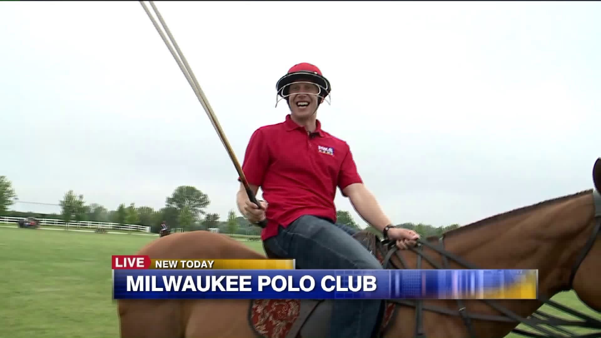 Polo classes