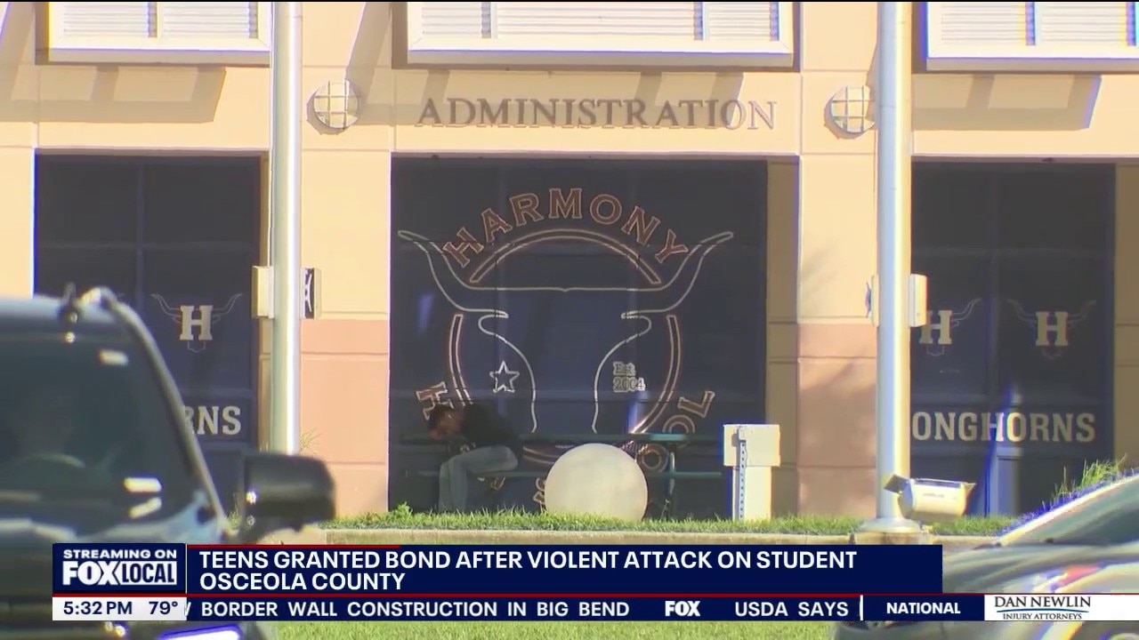 Teens face judge in alleged group attack on fellow student