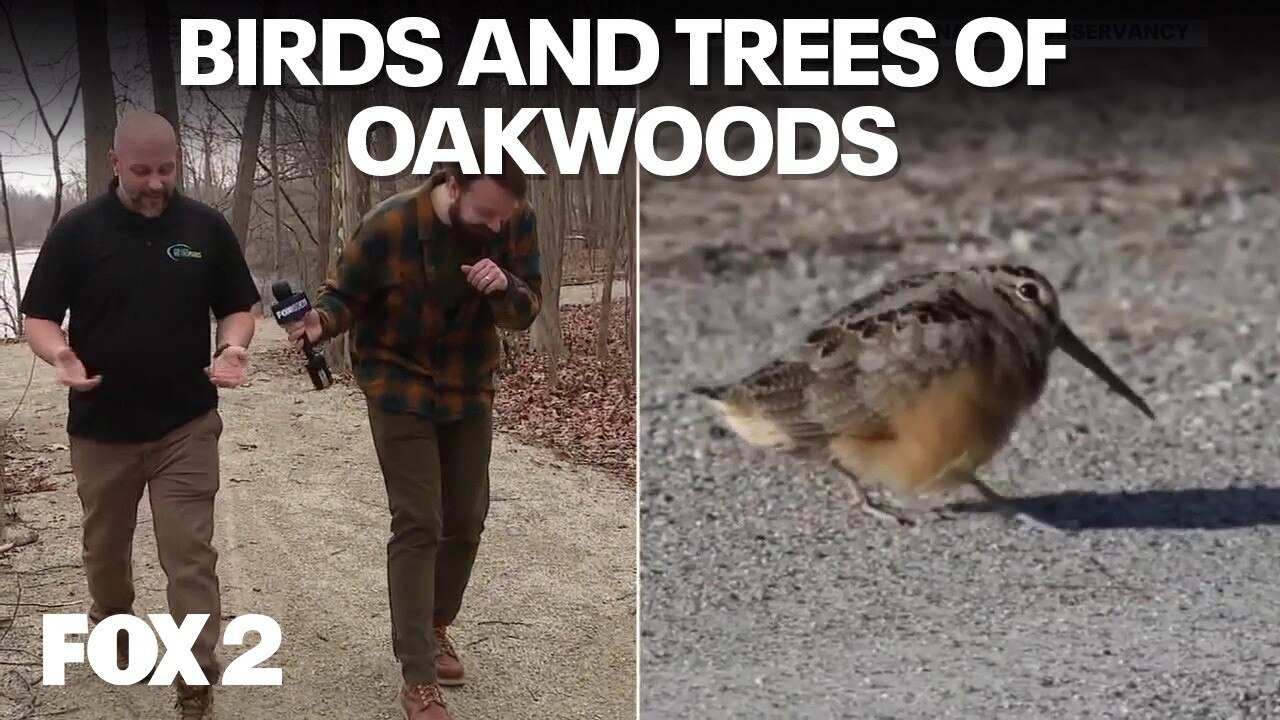 Up North in Oakwoods, Sod Science, and Composting | Brother Nature