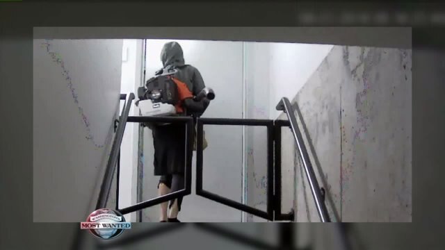 WANTED: Bad leaf blower burglar
