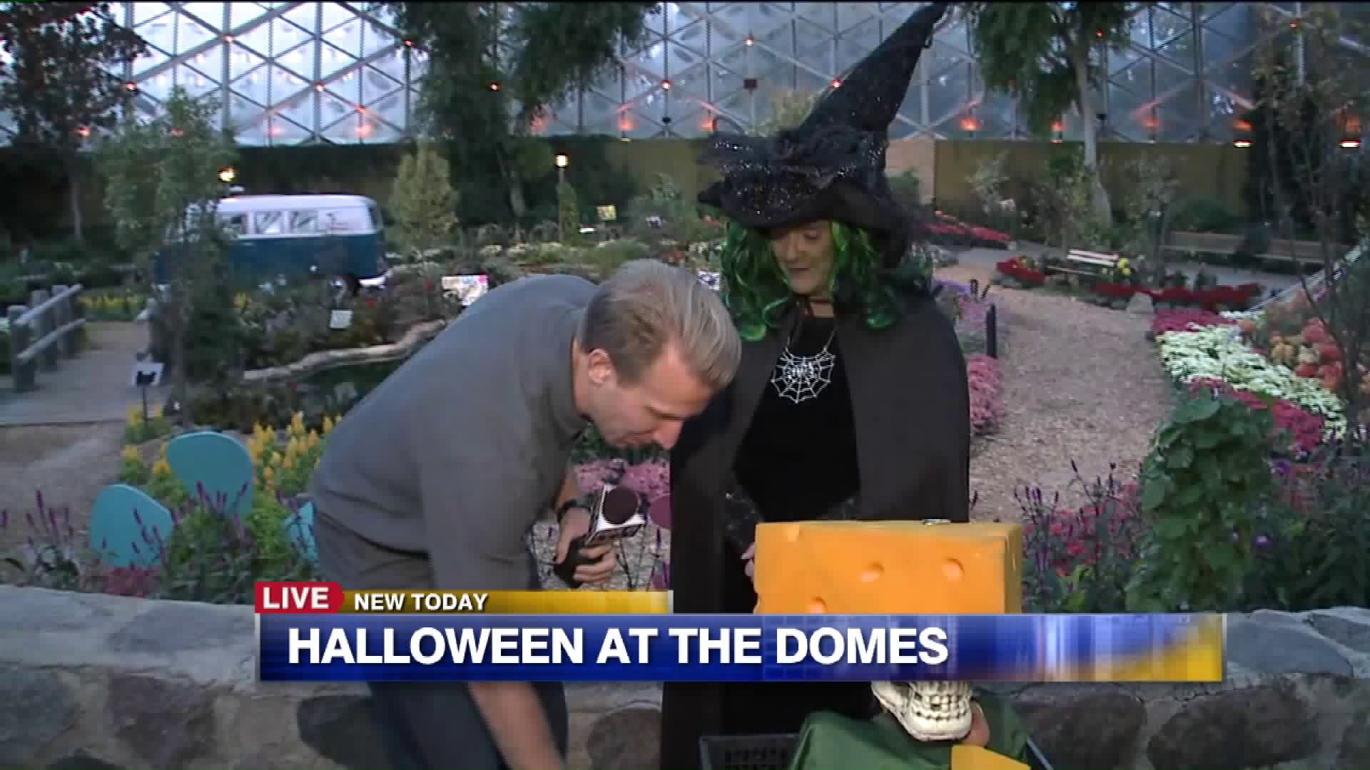 Halloween at the Domes