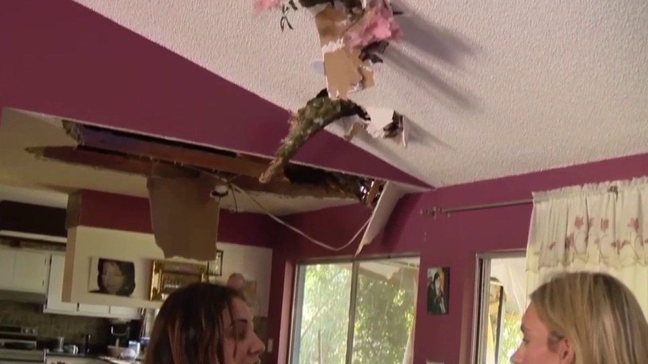 Tree crashes into Altamonte Springs home