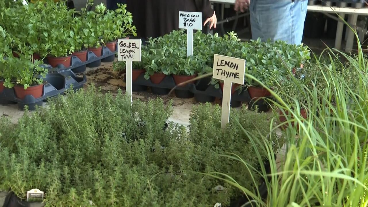 NC farmers affected as war with Iran disrupts fertilizer exports