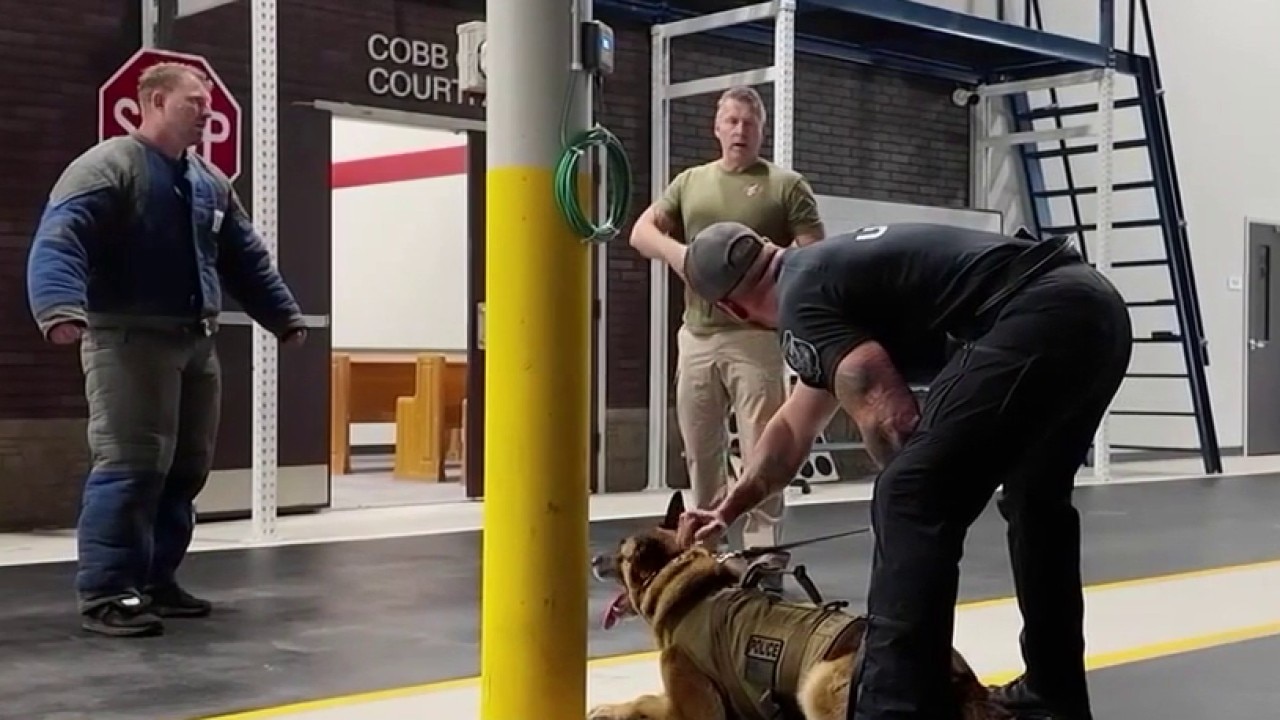Metro Atlanta K9 units face high-intensity training