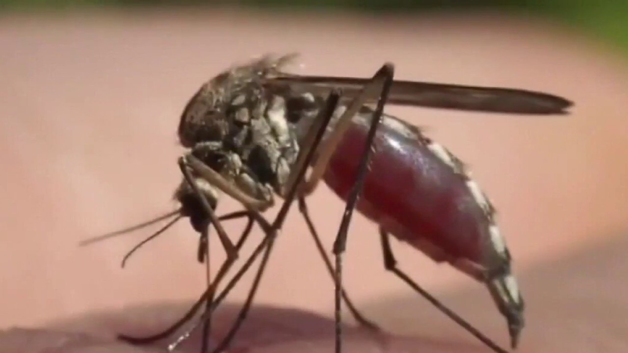 Mosquitoes in Wauwatosa test positive for West Nile Virus