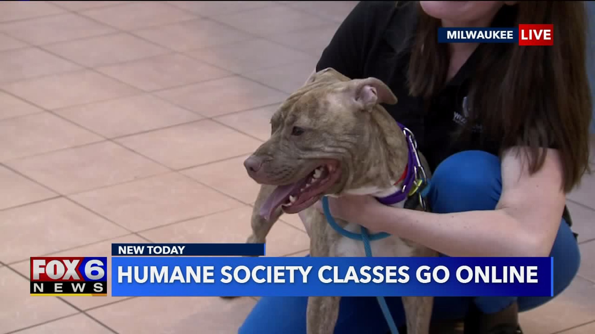 Classes go online